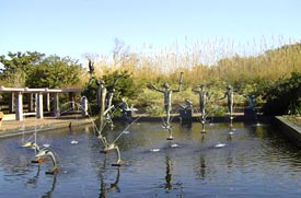 Brookgreen Gardens