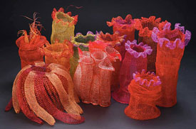 Corals