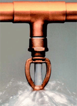 copper sprinkler head