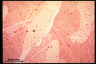 Microstructure